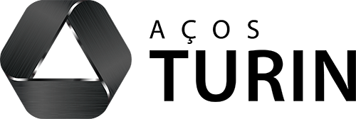 Logo Turin